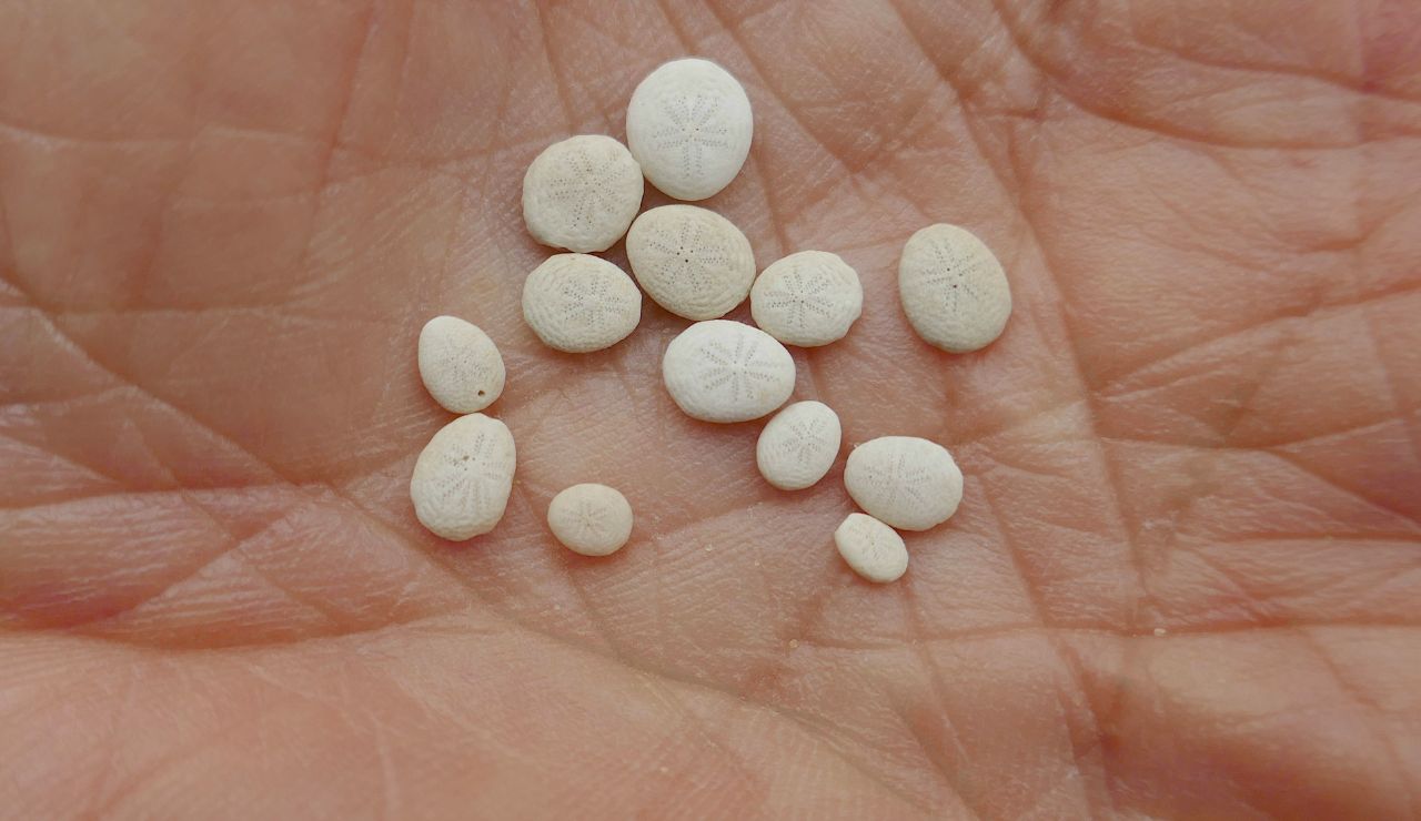 Close-up of melatonin pills and a travel sleep mask