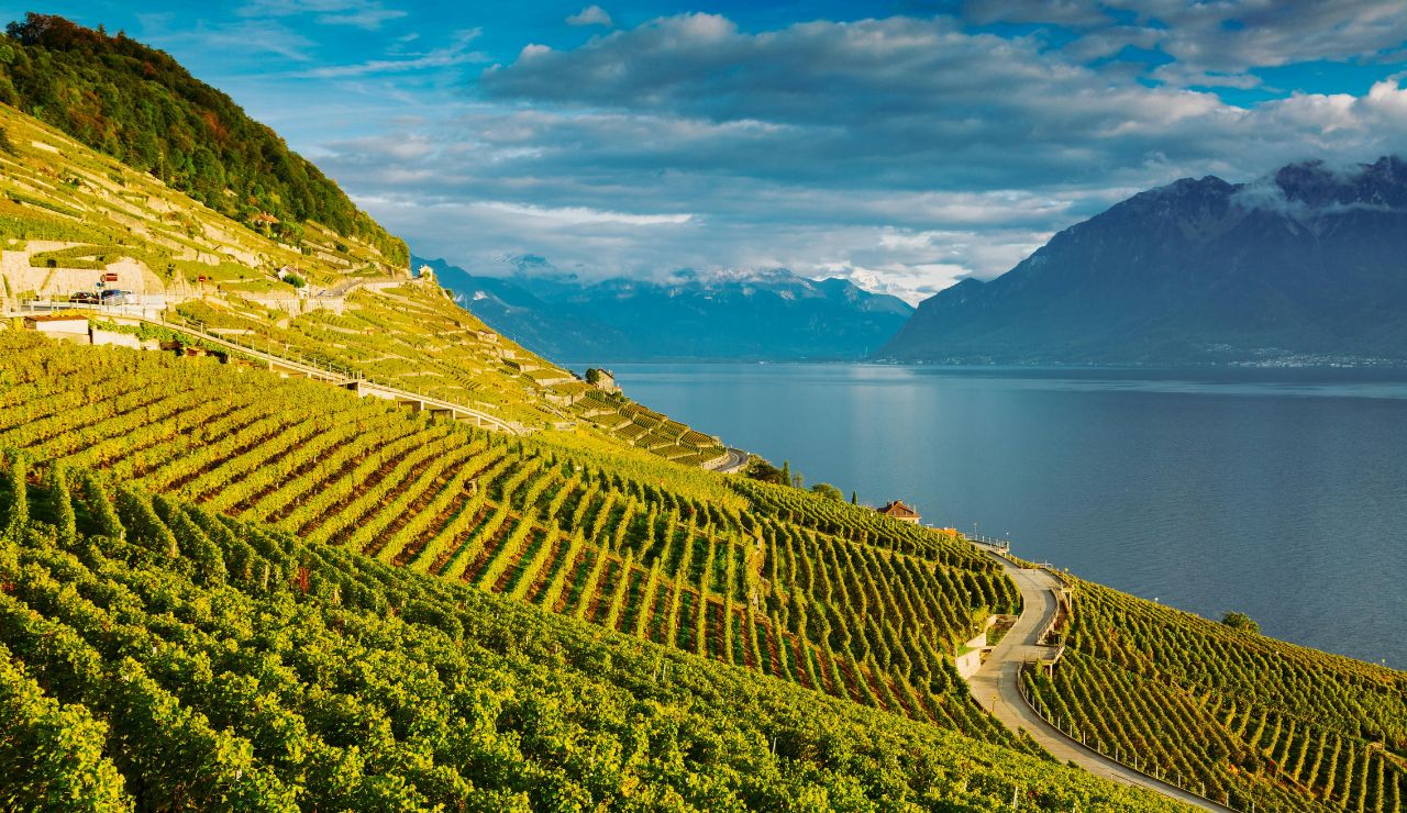 Millbrook Vineyards and Winery landscape view