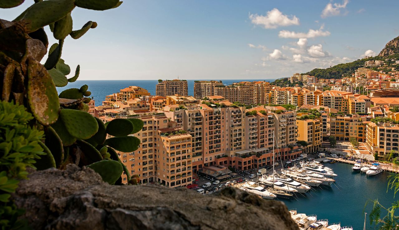 View of Monaco harbor with yachts and hillside buildings
