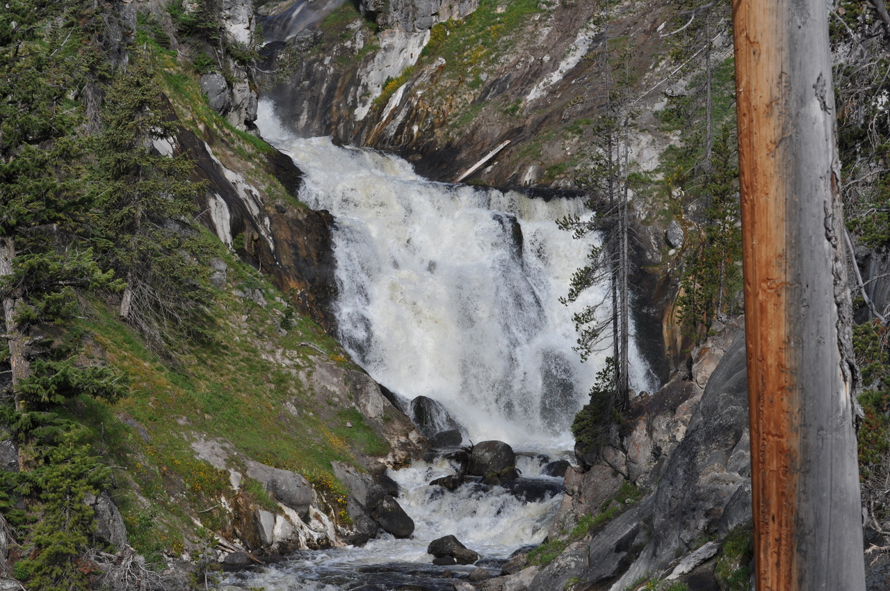Mystic Falls Trail
