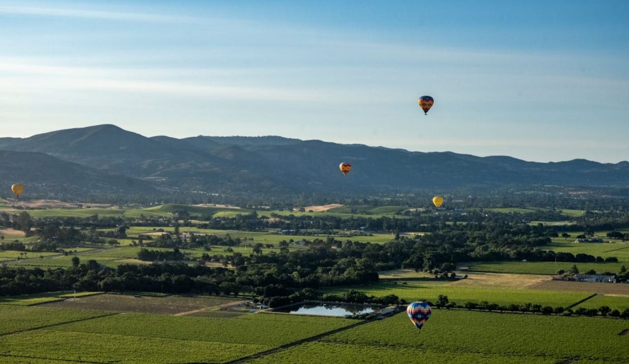Hot air balloons floating over vineyards in Napa Valley, California.