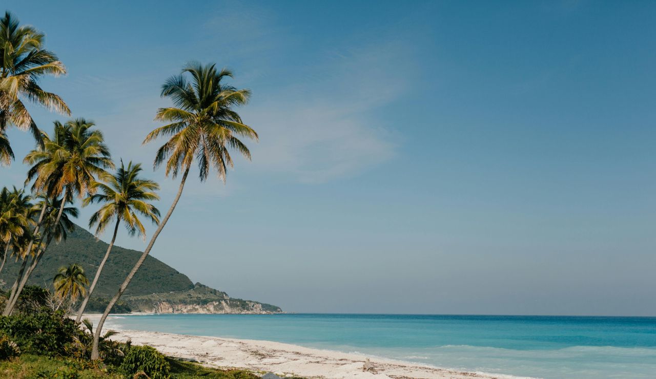 Quiet beach on Nauru with palm trees and clear water