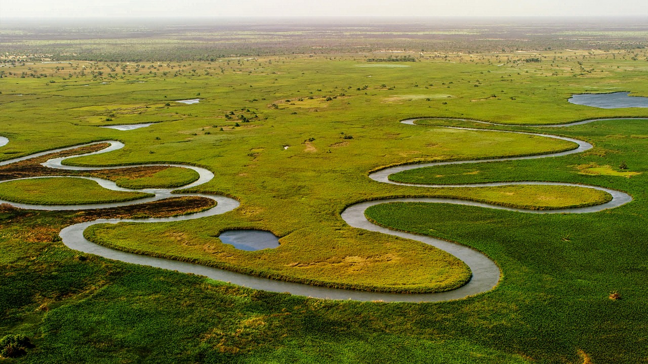 Aerial view of a winding river flowing through a vast green marshland under a hazy sky.