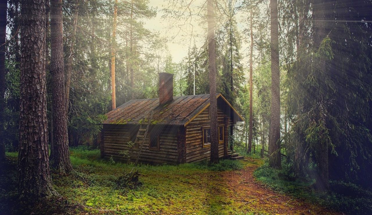 A rustic log cabin with a mossy roof and chimney, nestled in a sunlit forest with tall pine trees and a dirt path leading to the door.