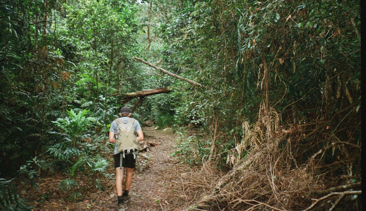 Australian outback landscape and tropical rainforest