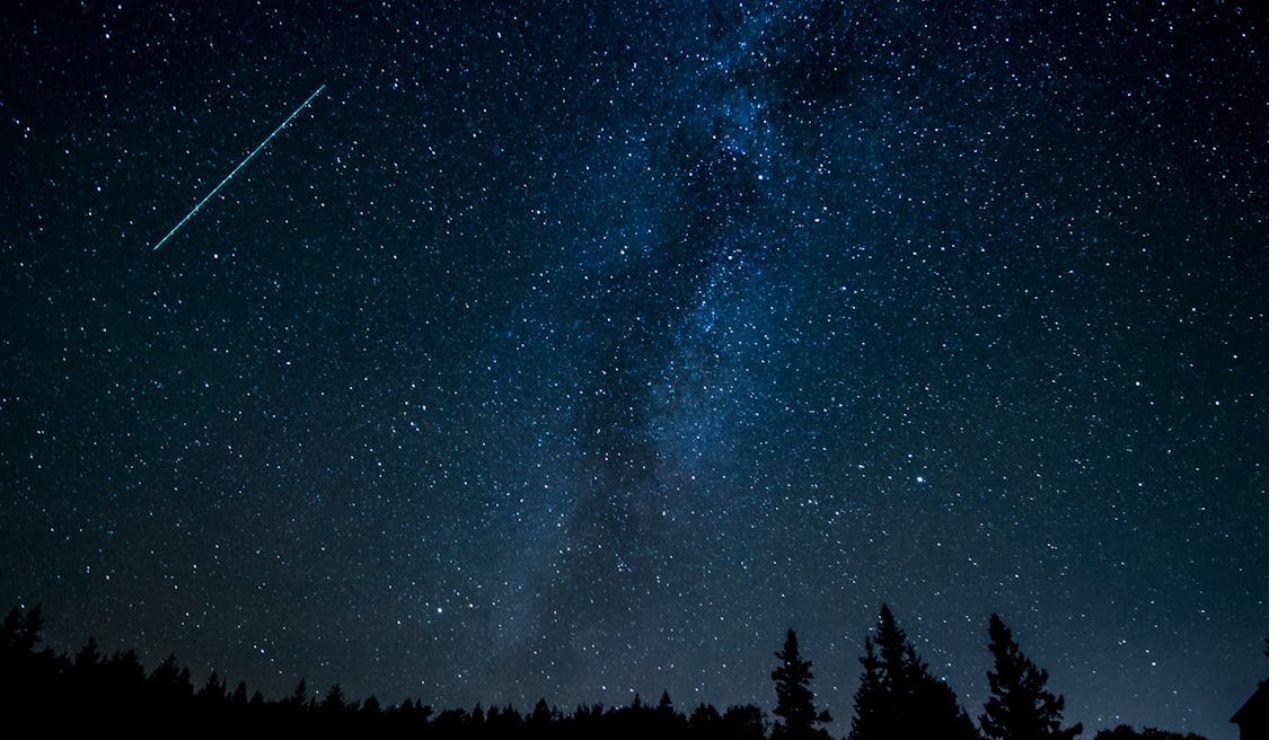 A meteor streaks across a star-filled night sky above silhouetted trees.