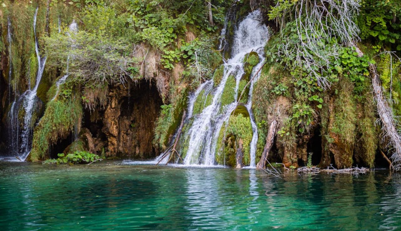 Lush waterfalls cascade over mossy rocks into a clear turquoise pool in a forest setting.