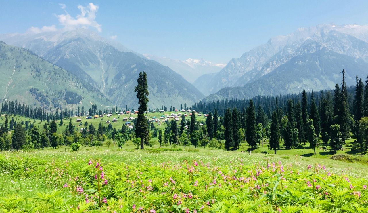 Green meadows and forest with mountain backdrop near Astore