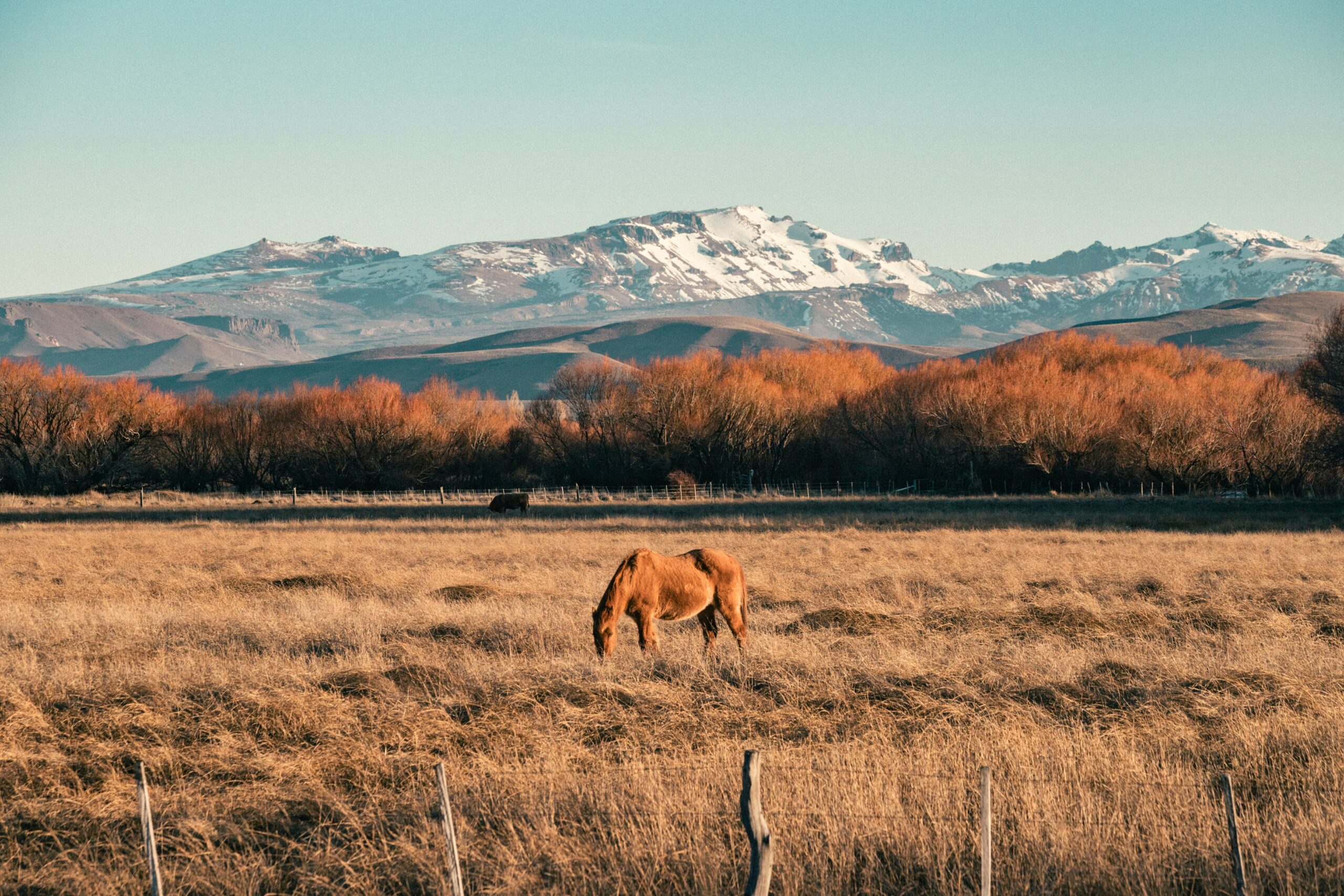 Red Horse Mountain Ranch, Idaho