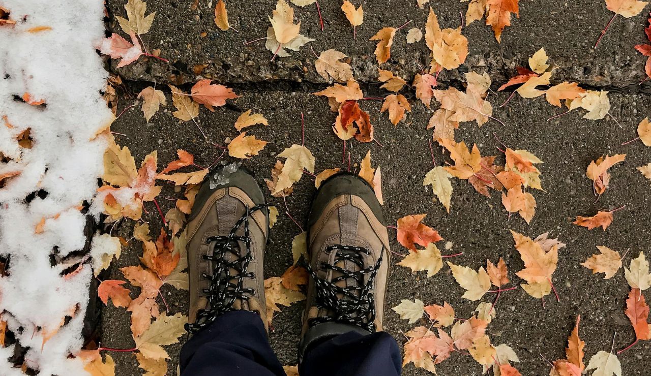 Winter scene or colorful fall leaves at Rhine Falls