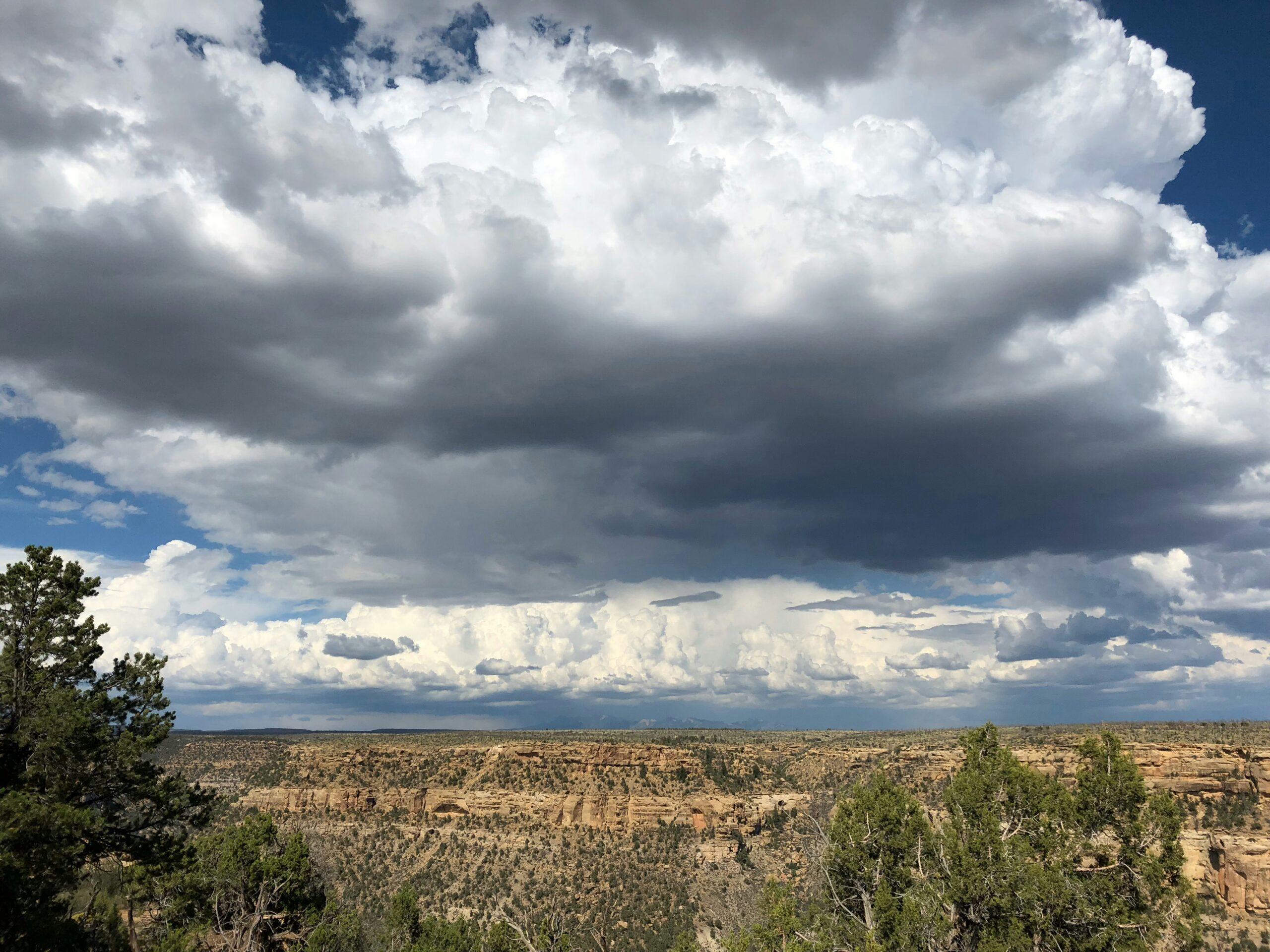 Rhyolite, Nevada, USA