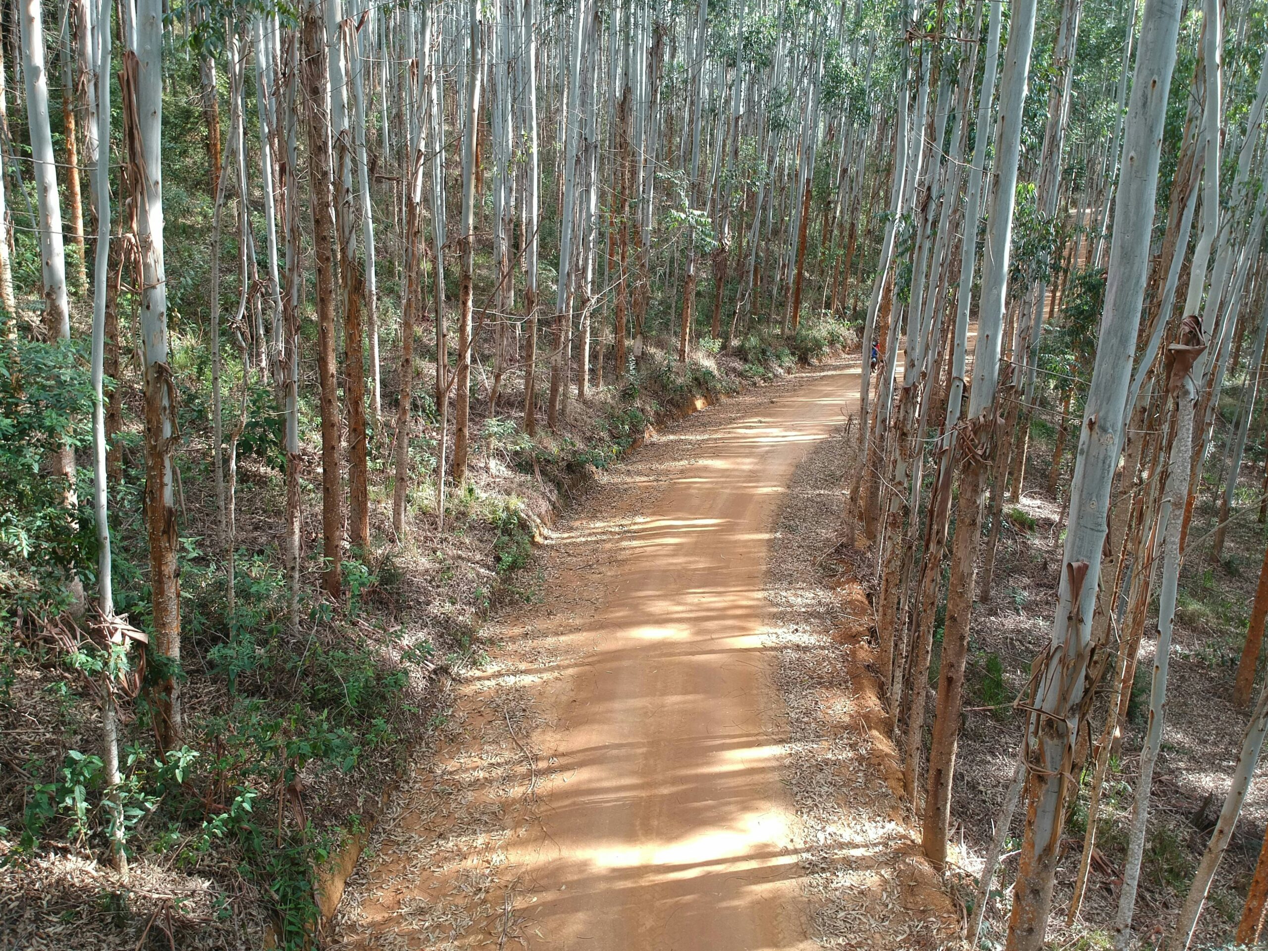 The Sandakan Death March Trail, Malaysia