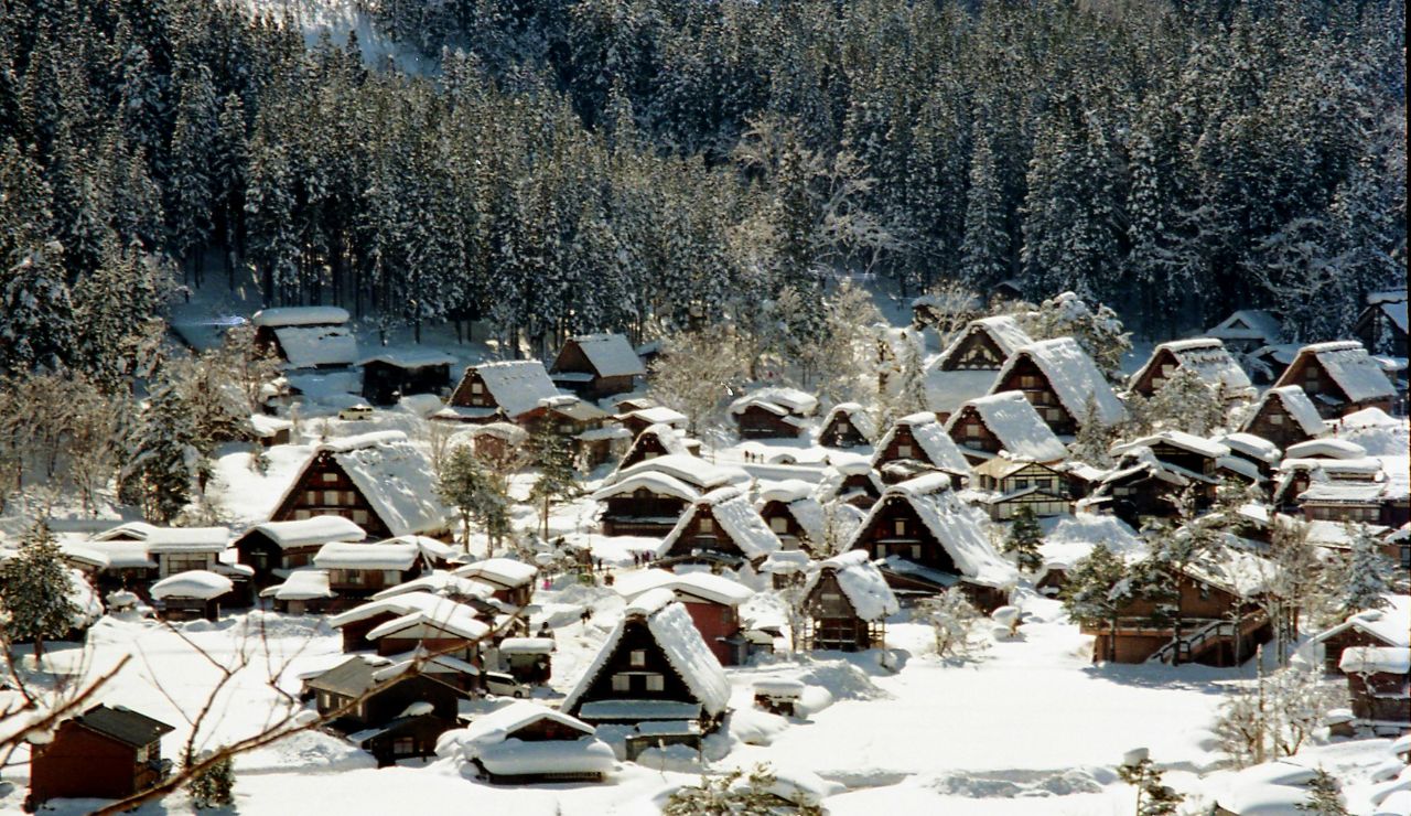 A snow-covered village of traditional gassho-style houses borders a dense snowy forest.