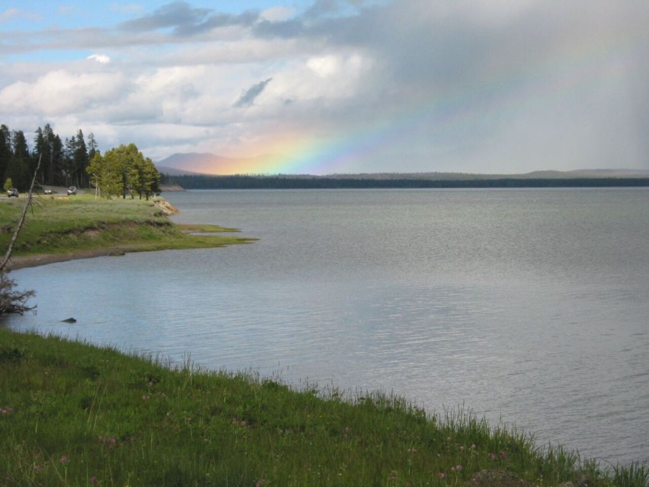 Serene Shores of Yellowstone Lake