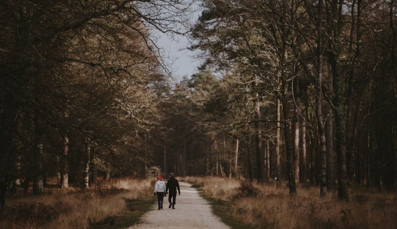 Two people walking along a quiet forest trail surrounded by tall, leafless trees.