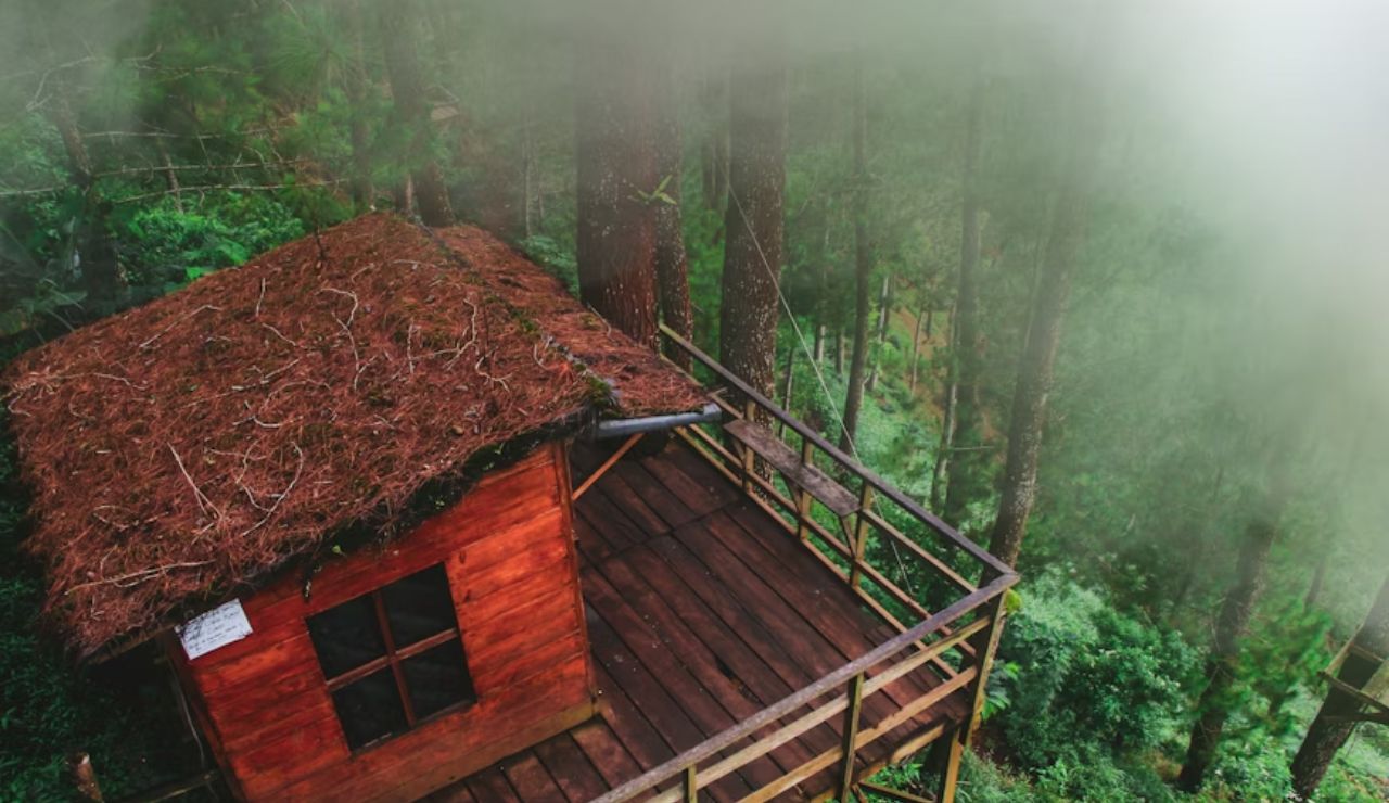 A small wooden treehouse with a thatched roof, surrounded by mist and dense pine forest.