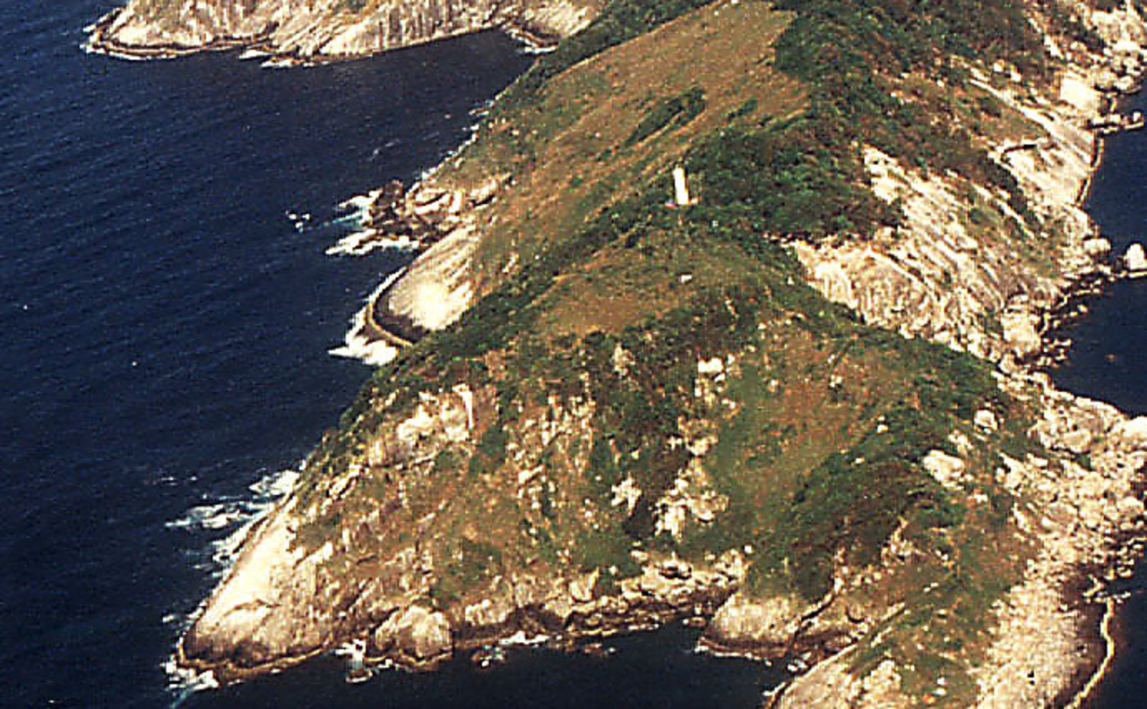 Snake Island (Ilha da Queimada Grande), Brazil