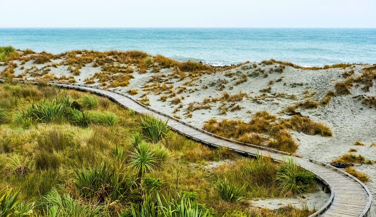 Sandy trail and sea grasses on Susak Island, Croatia