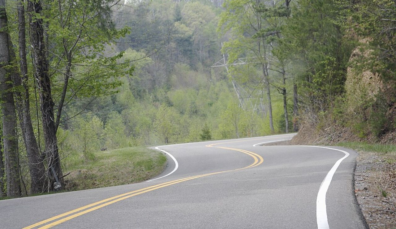 Winding mountain road surrounded by lush green forest in spring.