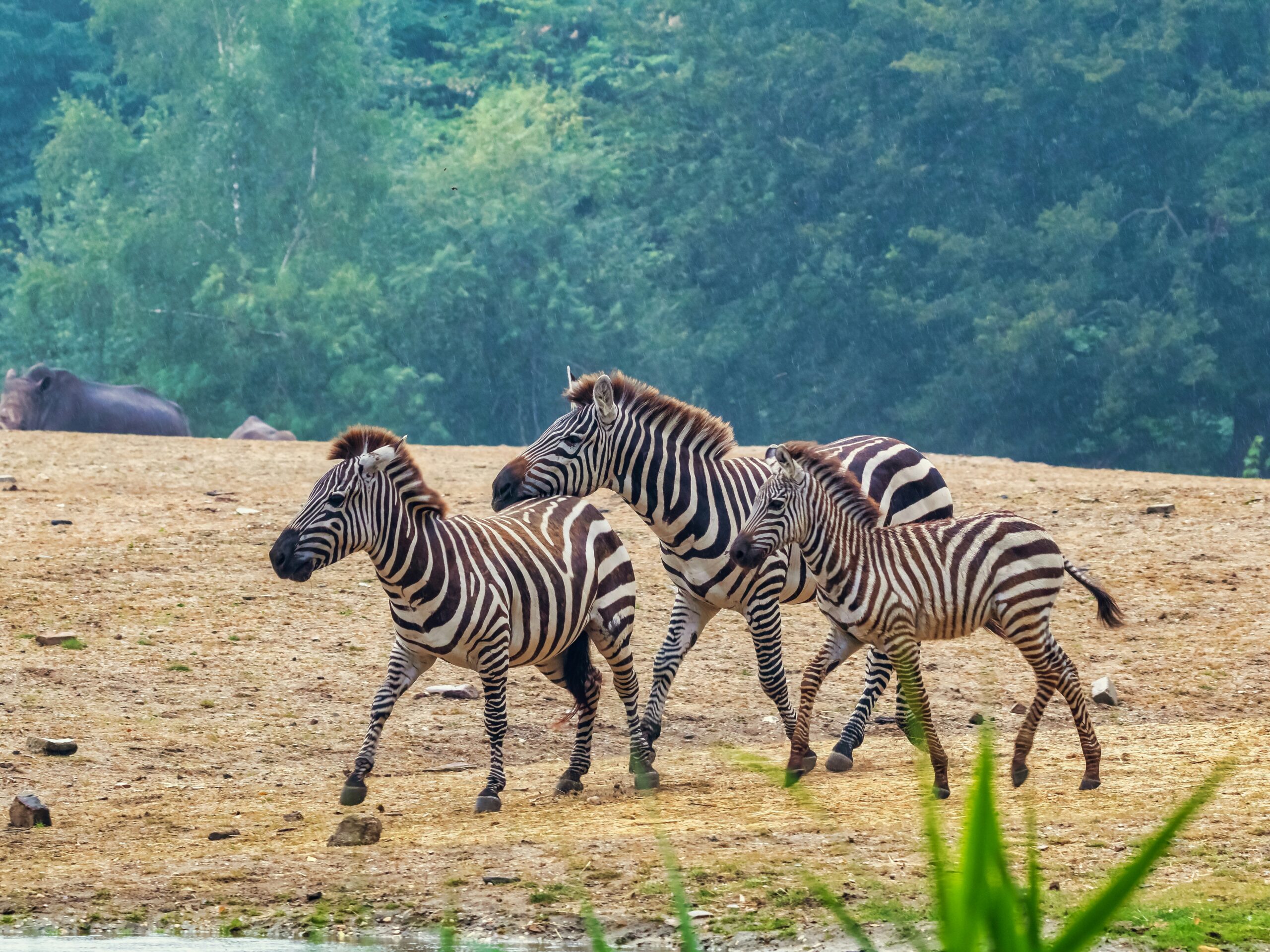 Tanganyika Wildlife Park