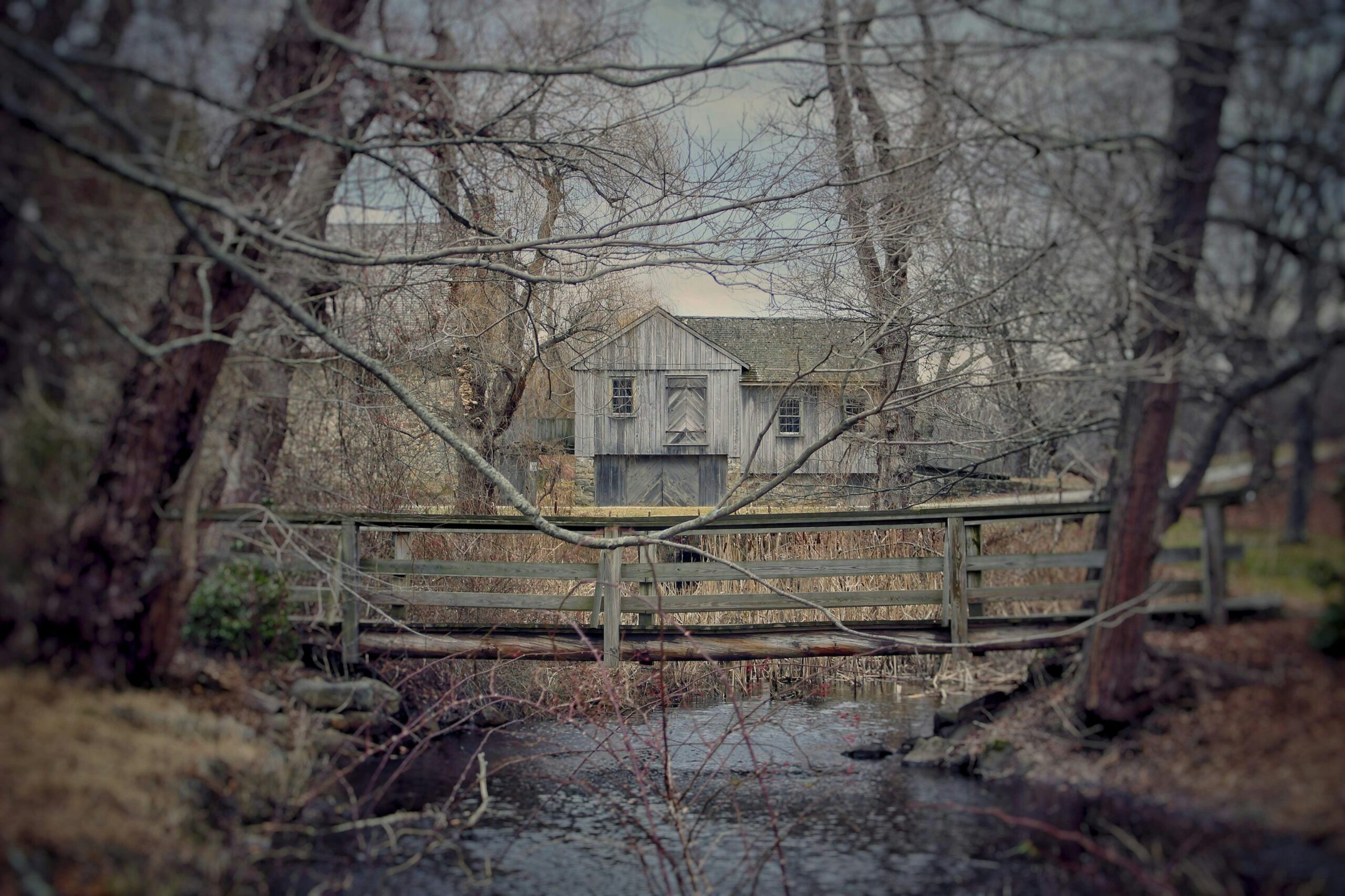 The Haunted Museum