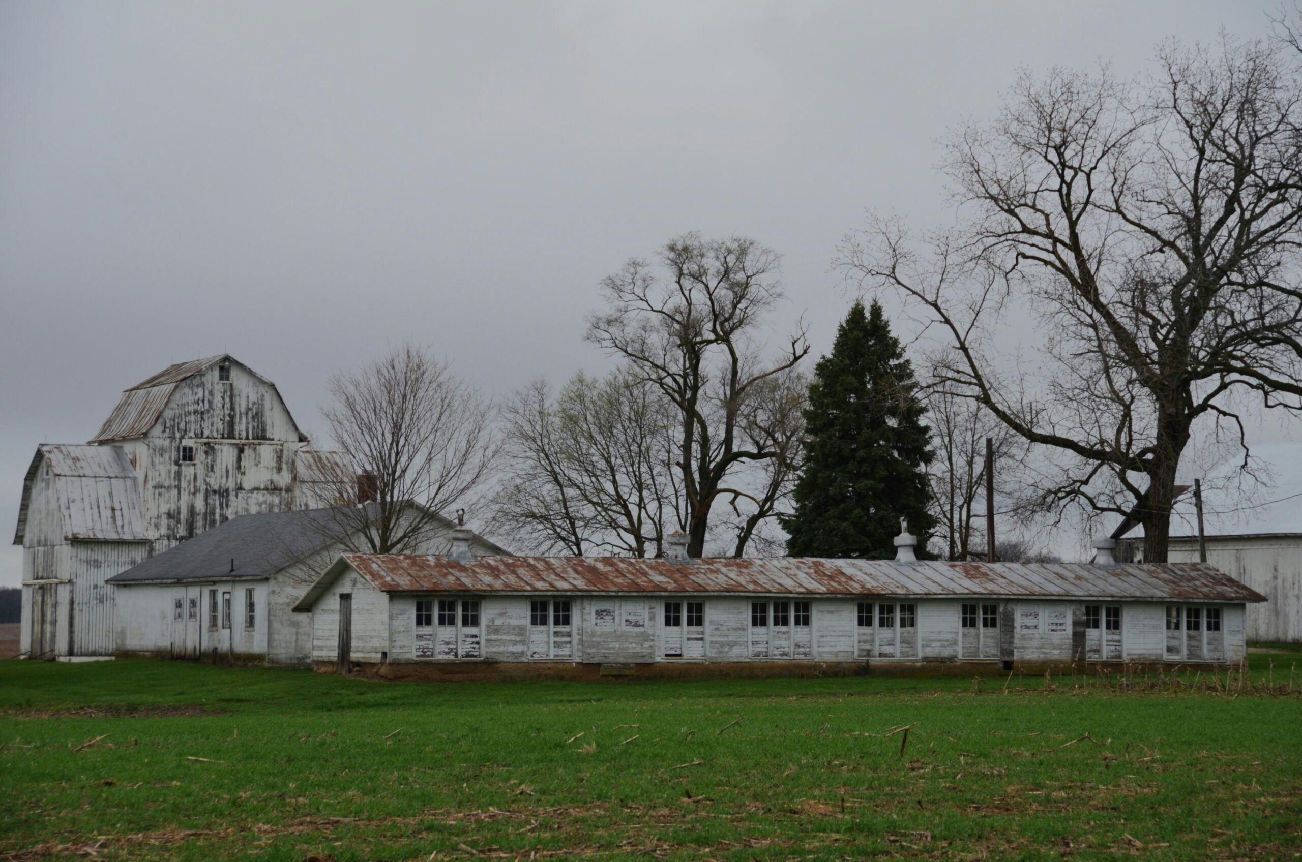The Mohicans – Glenmont, Ohio