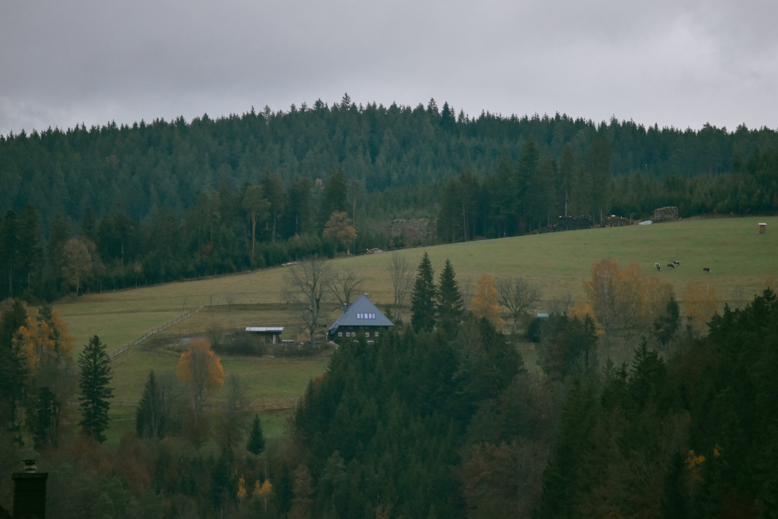 Triberg