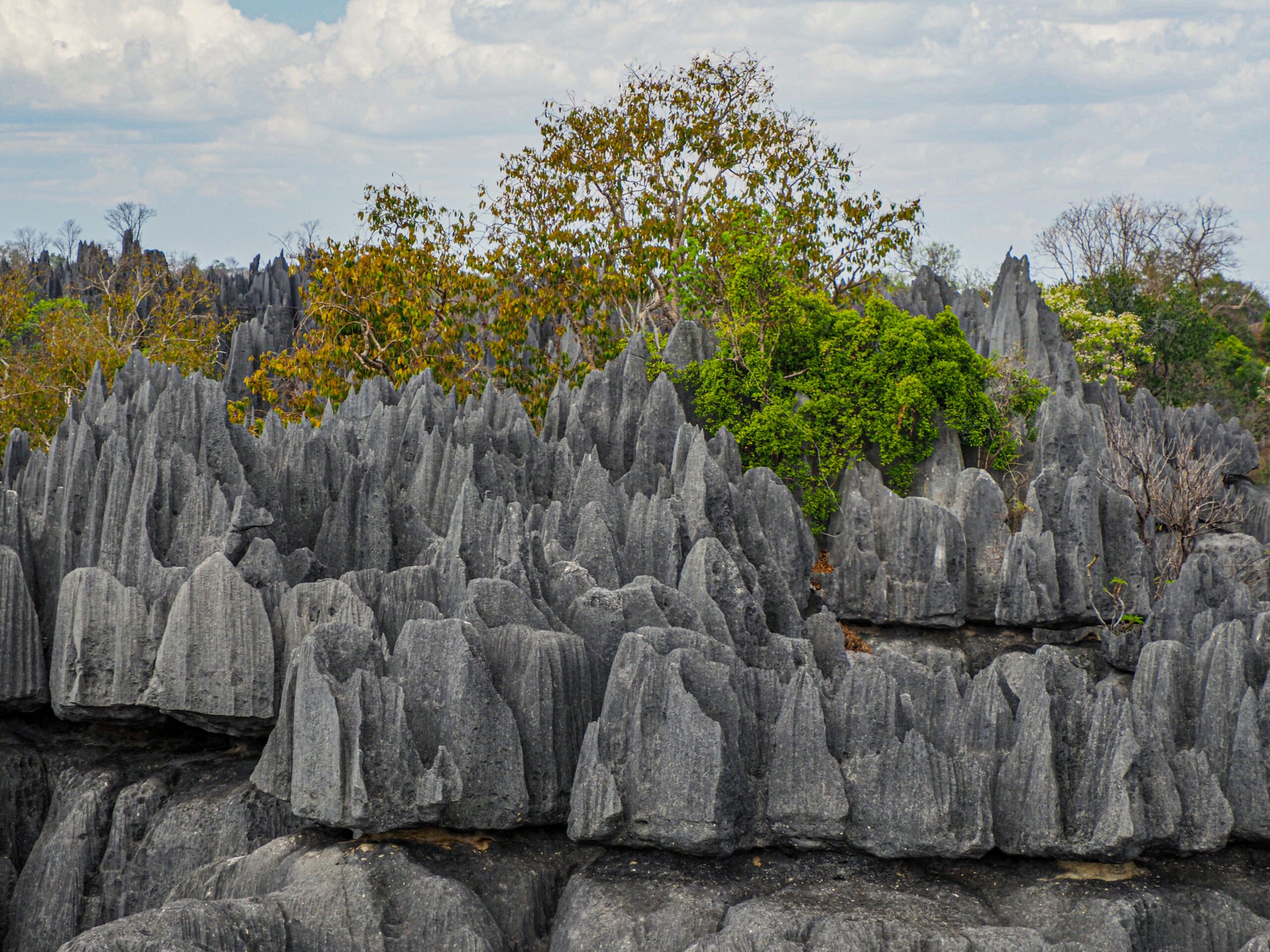 Tsingy de Bemaraha, Madagascar