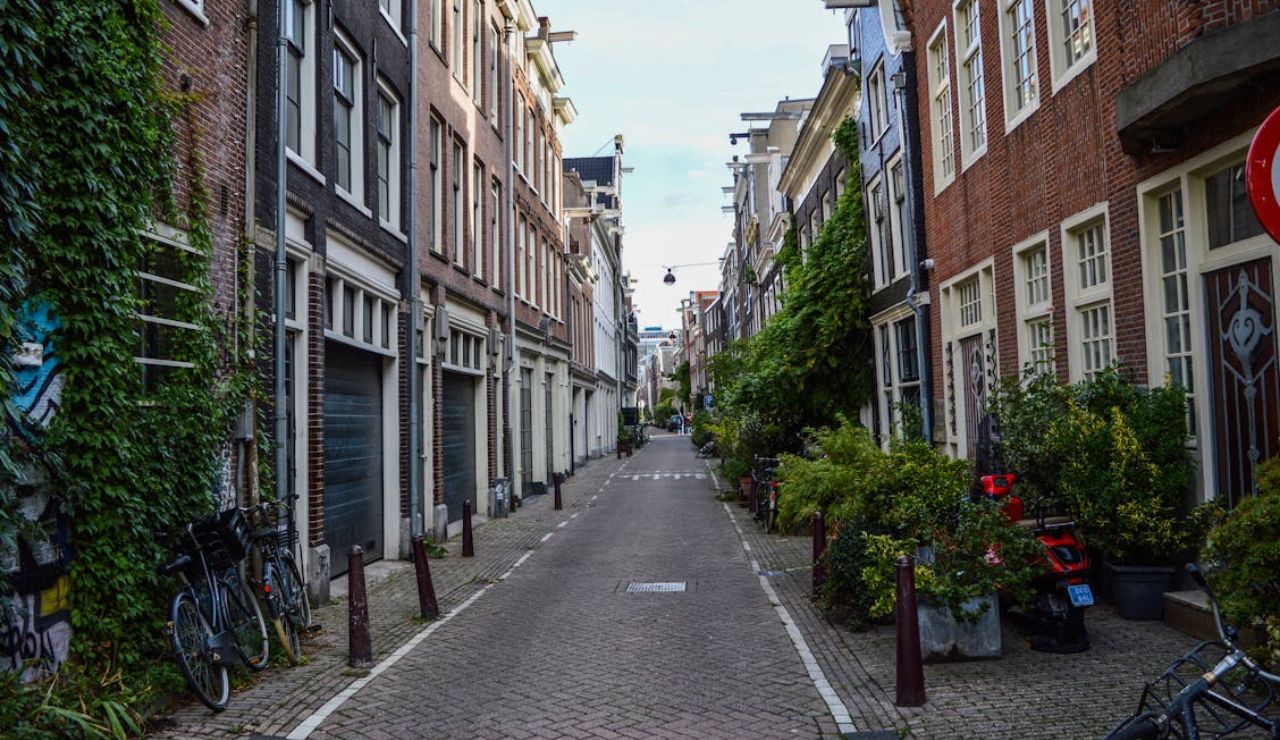 A quiet narrow street in Amsterdam lined with tall brick buildings, greenery, and parked bicycles.