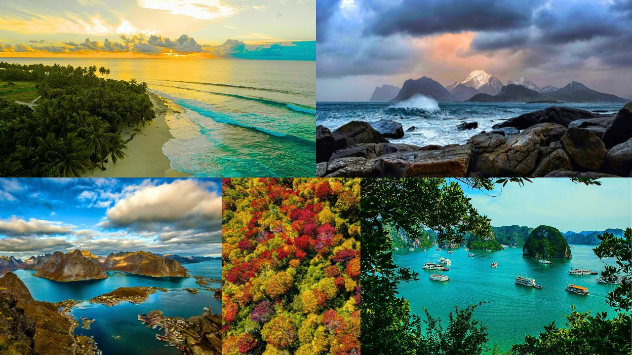 Aerial collage of dramatic islands including pink beaches, cliffs, and dragon’s blood trees.