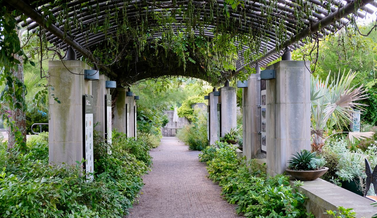 Beautiful garden walkway covered by a vine-draped pergola, with lush greenery and decorative pillars lining the path.