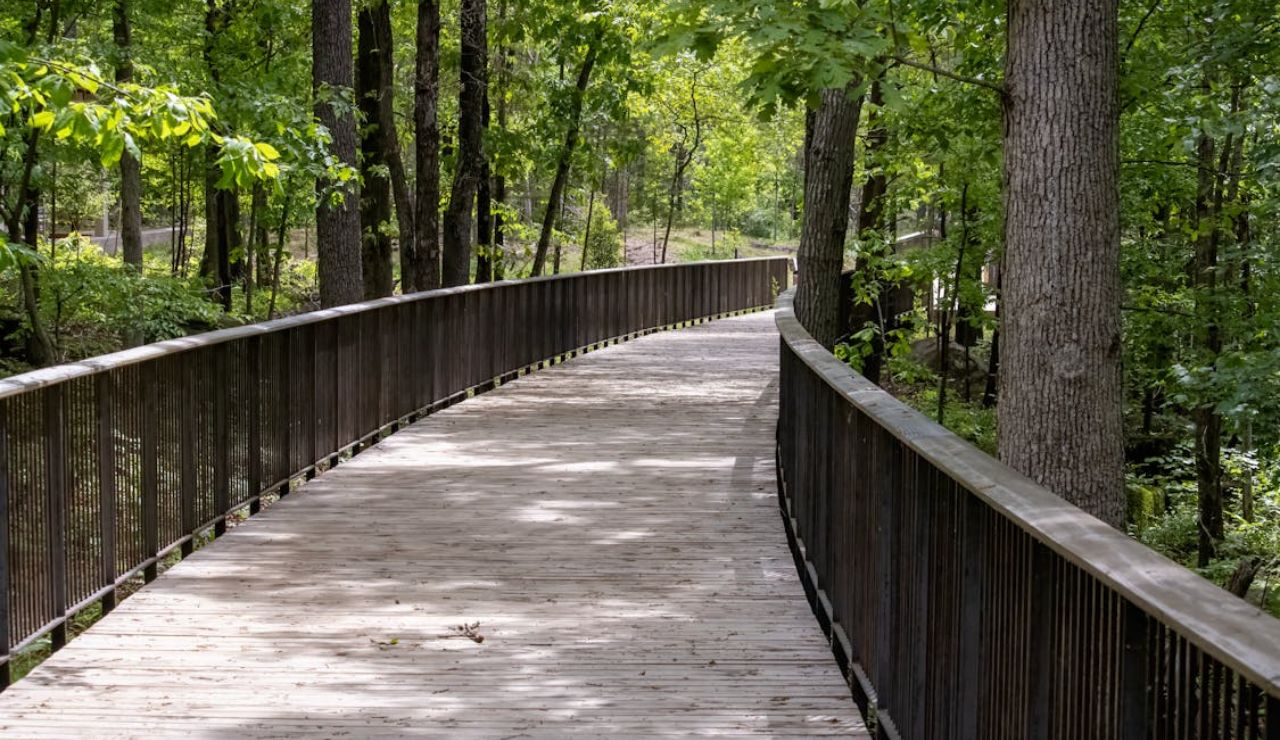 Wooden boardwalk winding through lush green forest along the Virginia Creeper Trail in Virginia, surrounded by tall trees and summer sunlight.