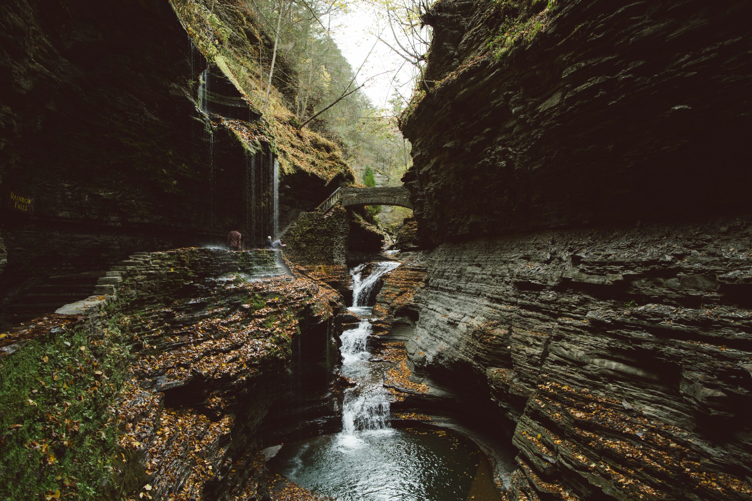 Watkins Glen