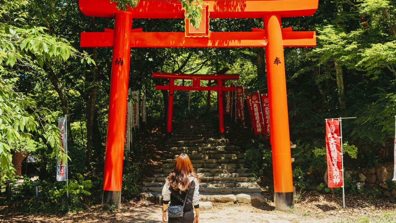 A long-haired person faces red torii gates and stone steps leading into a wooded area on a sunny day.