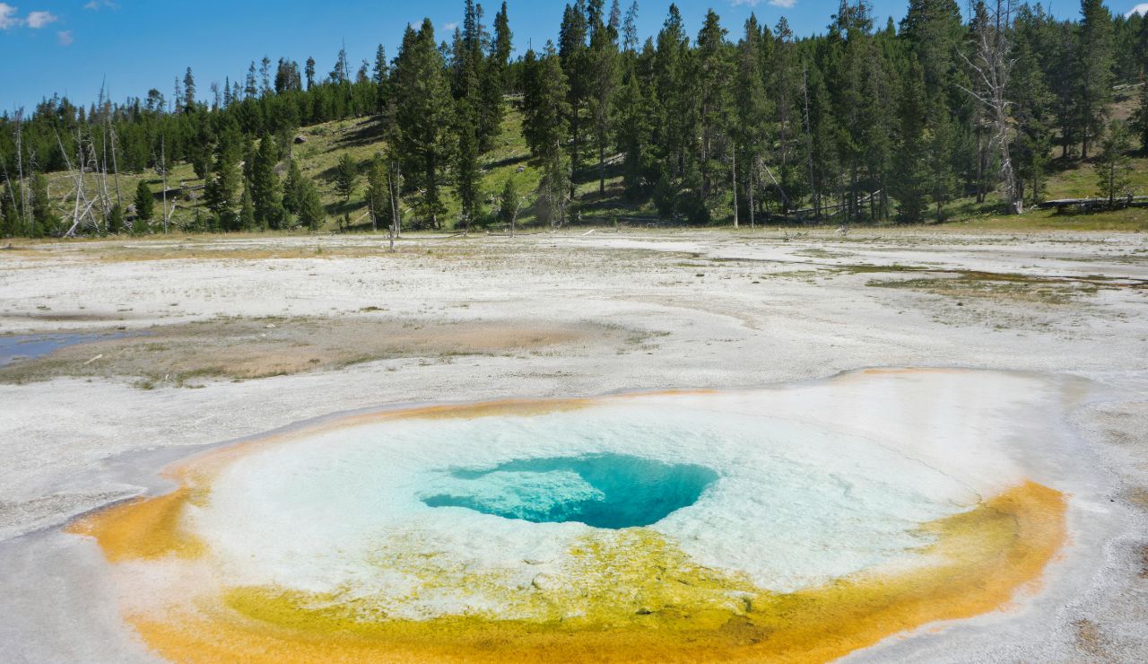 Steaming geyser at Yellowstone National Park