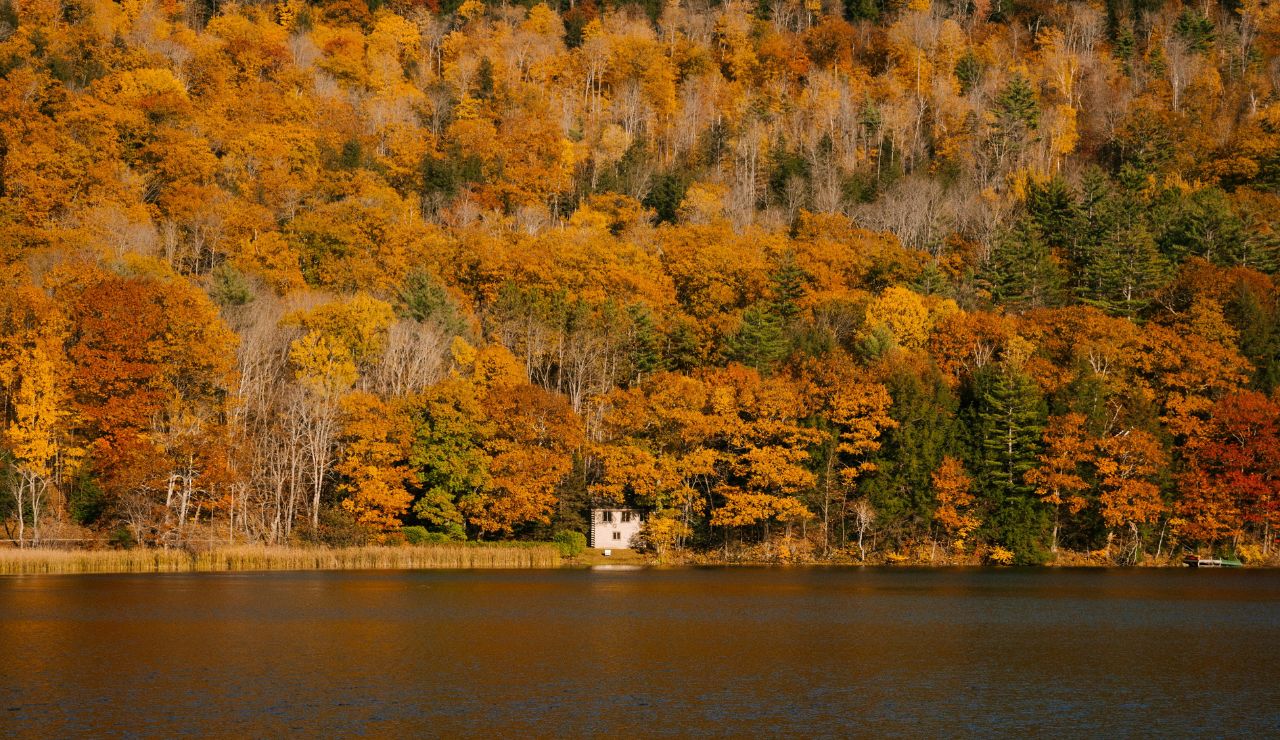 Mirror-like lake surrounded by wildflowers or golden aspens; possibly a canoe or person in distance for scale.
