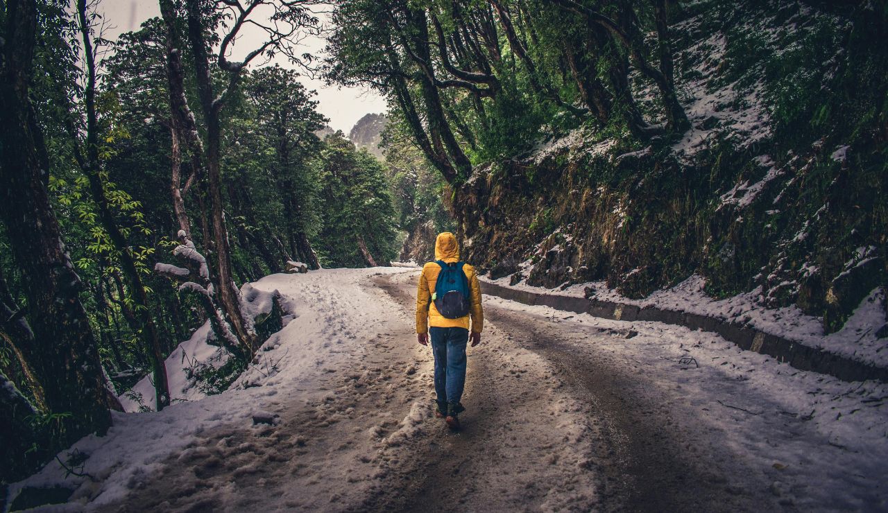 Traveler wearing layered waterproof clothing hiking through a misty Nordic forest with rugged mountains in the background