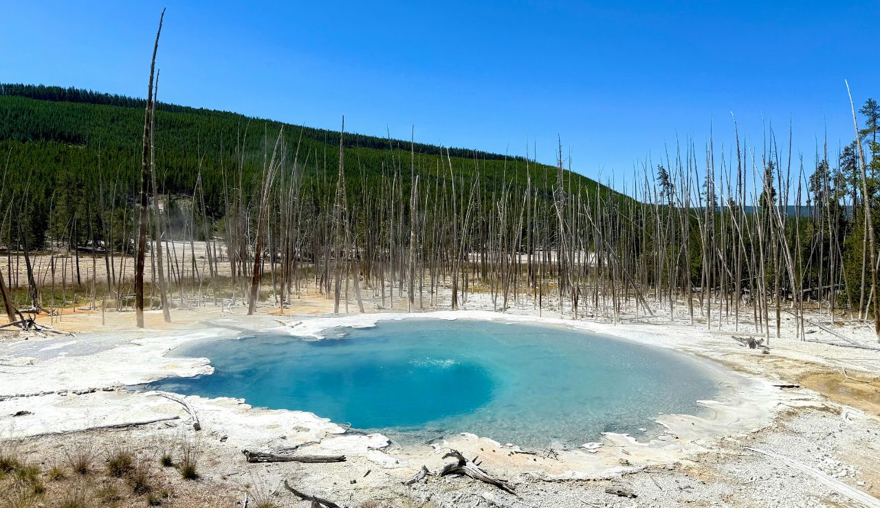 Overhead or side angle of glowing blue pool, forest frame, sunlight piercing through