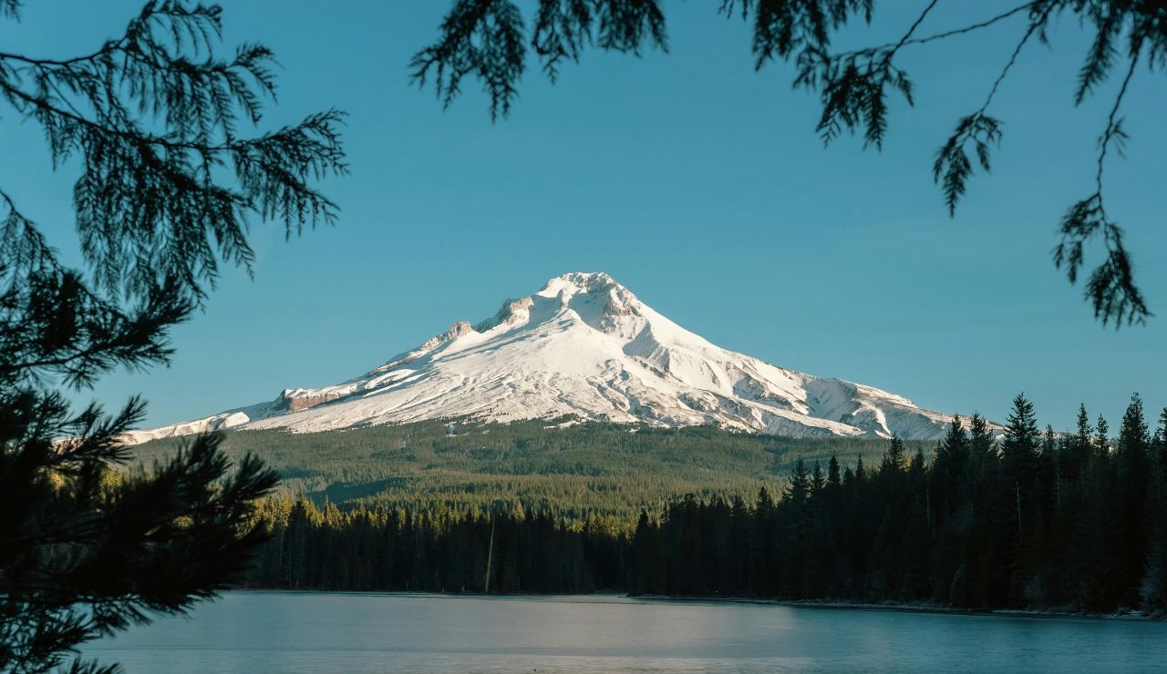Glass-calm water reflecting Mount Hood at sunrise with wildflowers