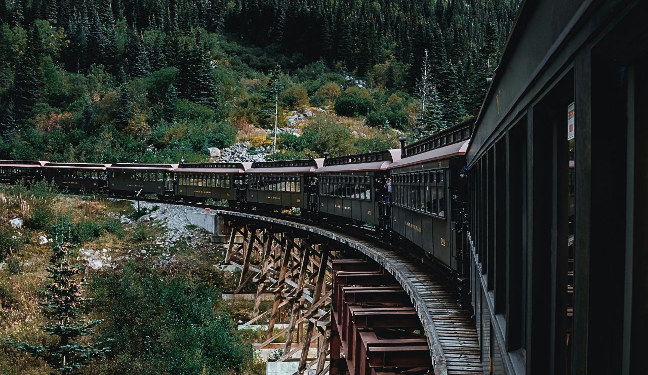 Train cutting through dense forest and mountain backdrop, large windows framing the wild landscape.