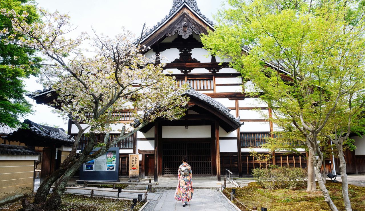 cherry blossoms near a historic shrine in Kyoto.