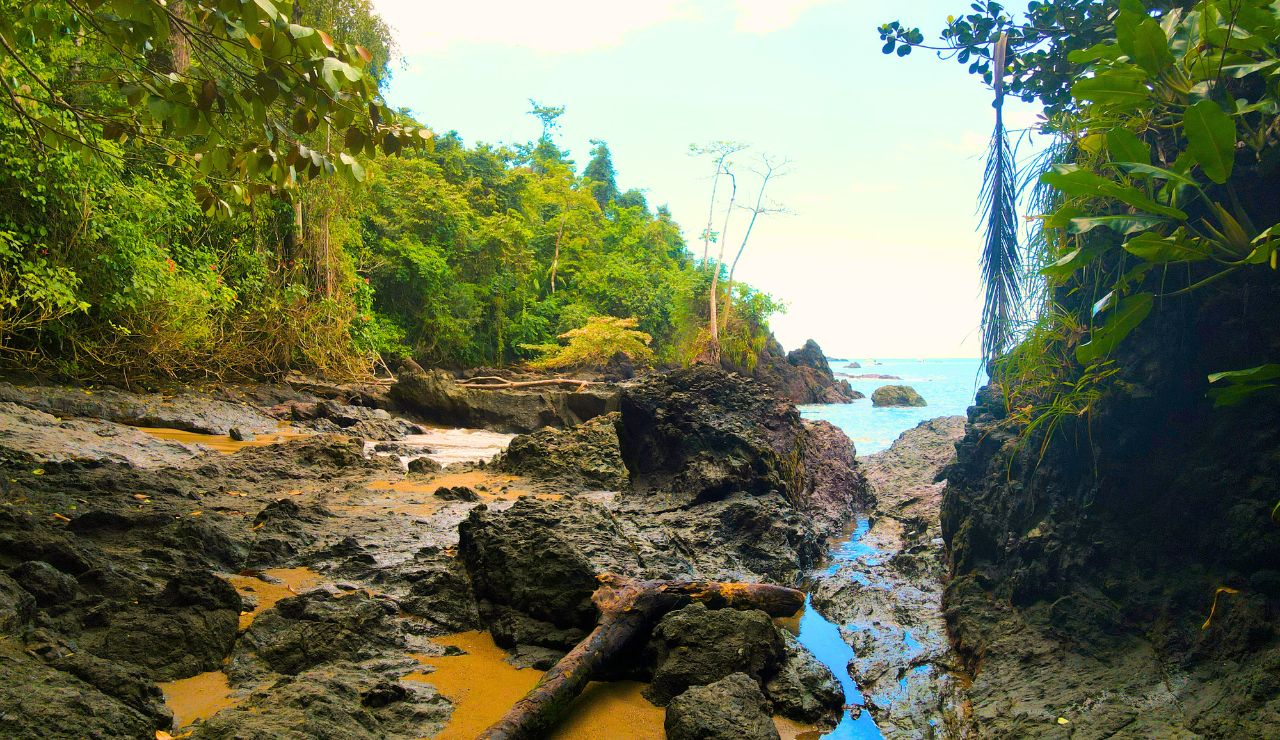 Secluded beach cove at the end of a forest trail between Ōhope and Otarawairere Bay.