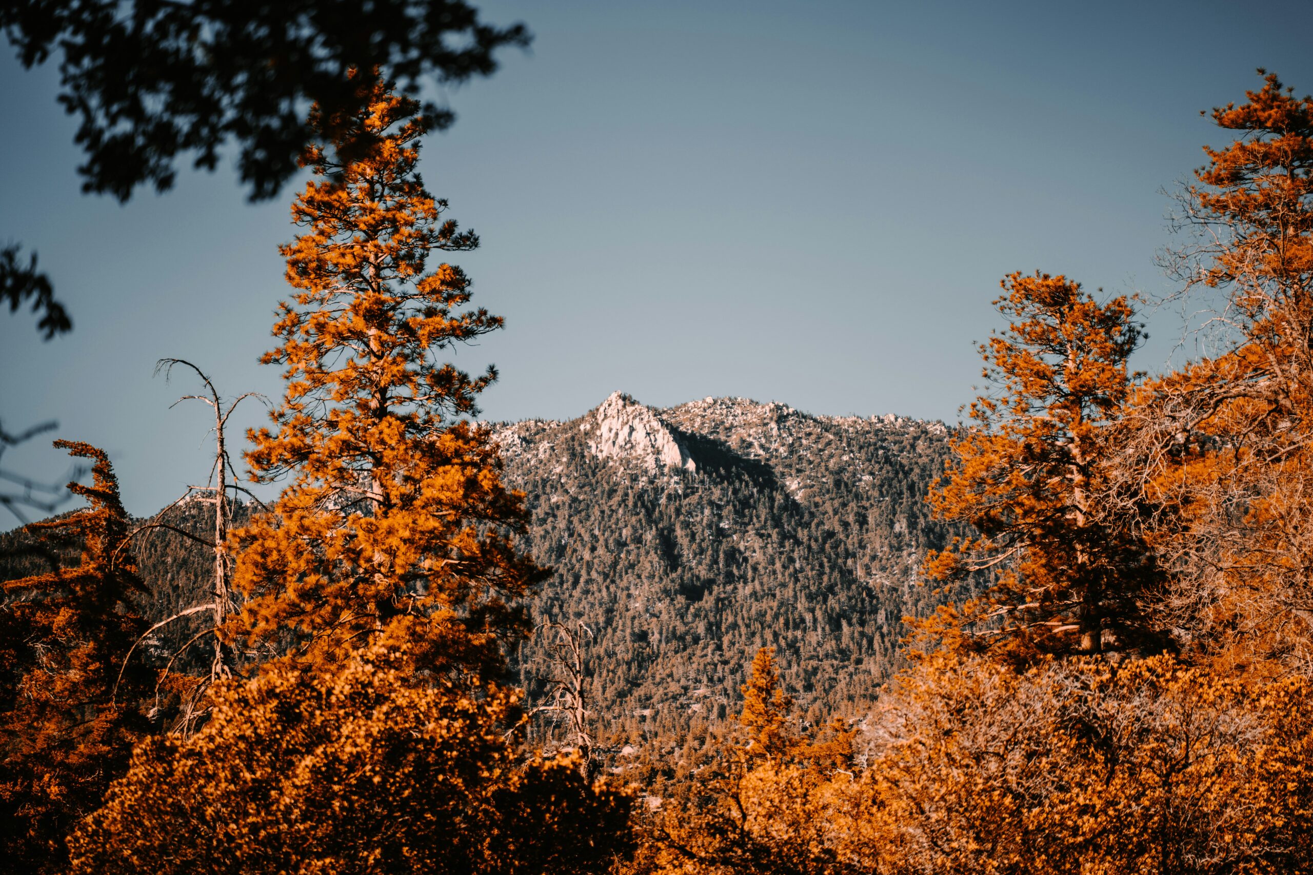 Idyllwild