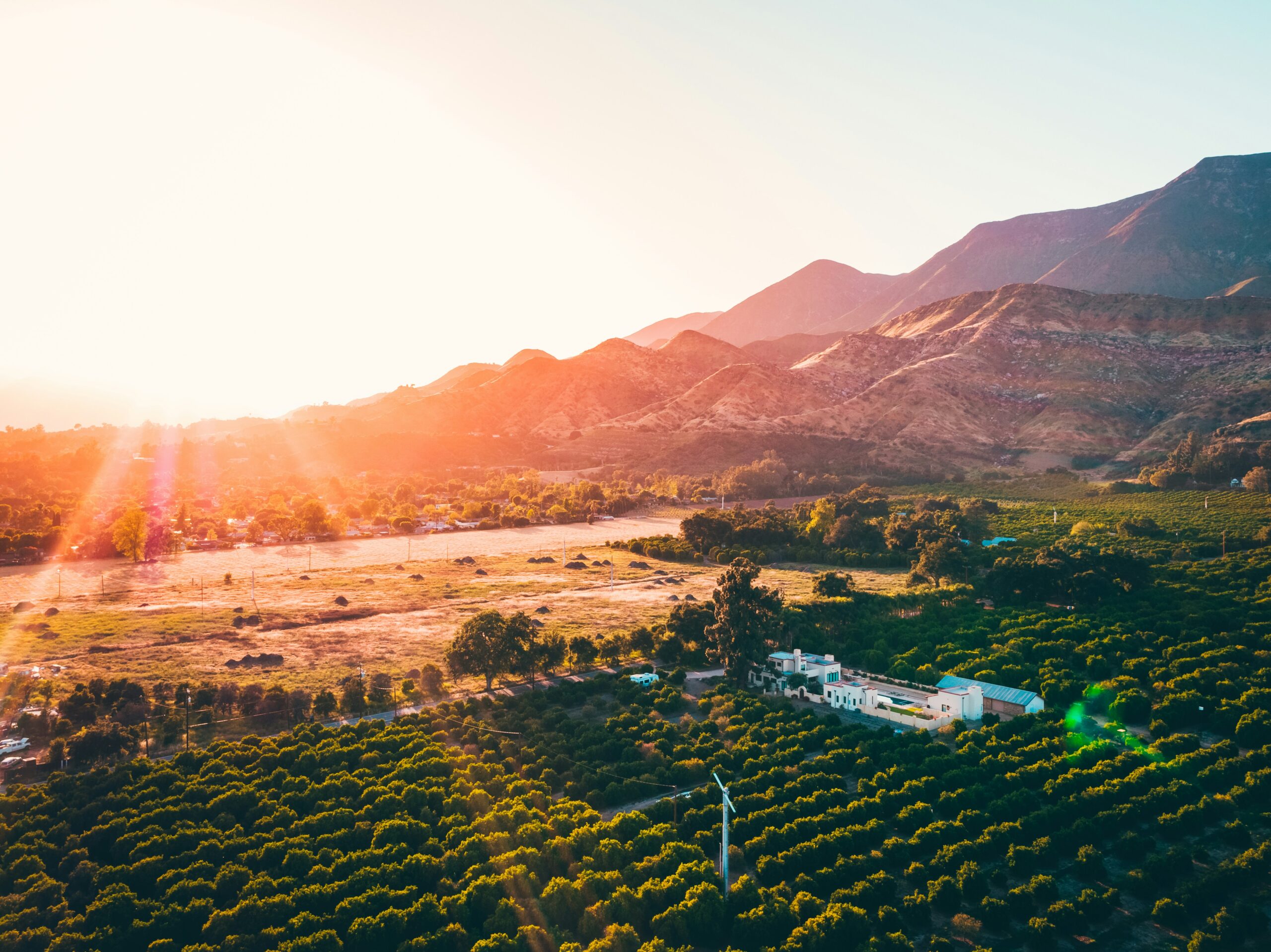 Ojai