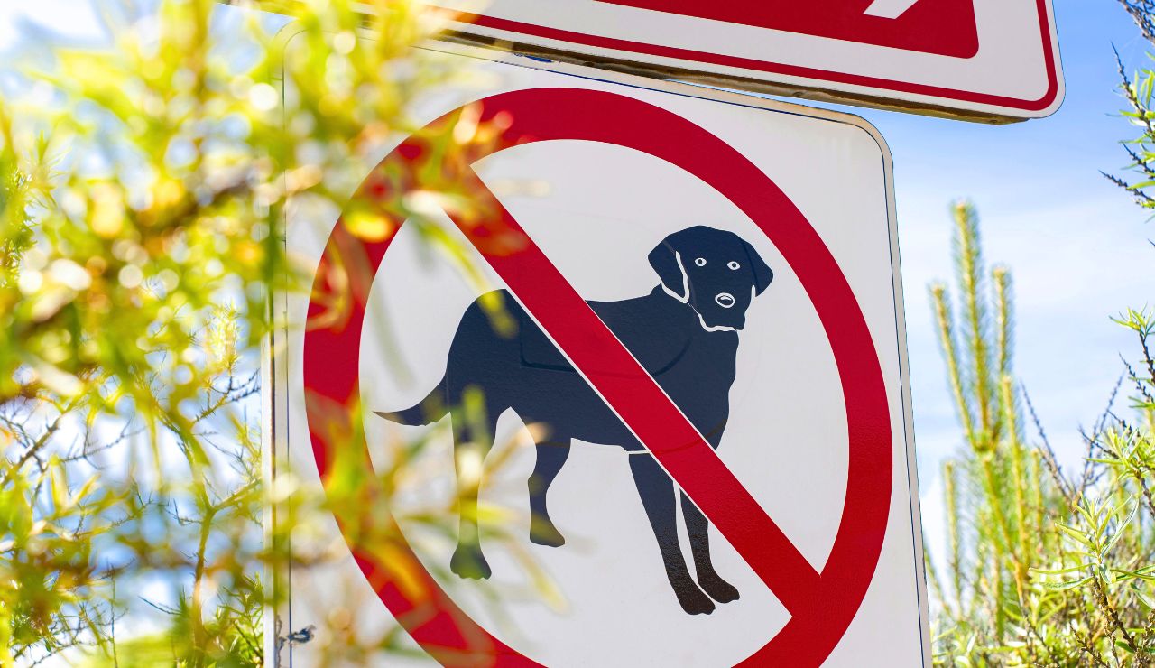 Sign showing banned dog breeds at an airport customs checkpoint.