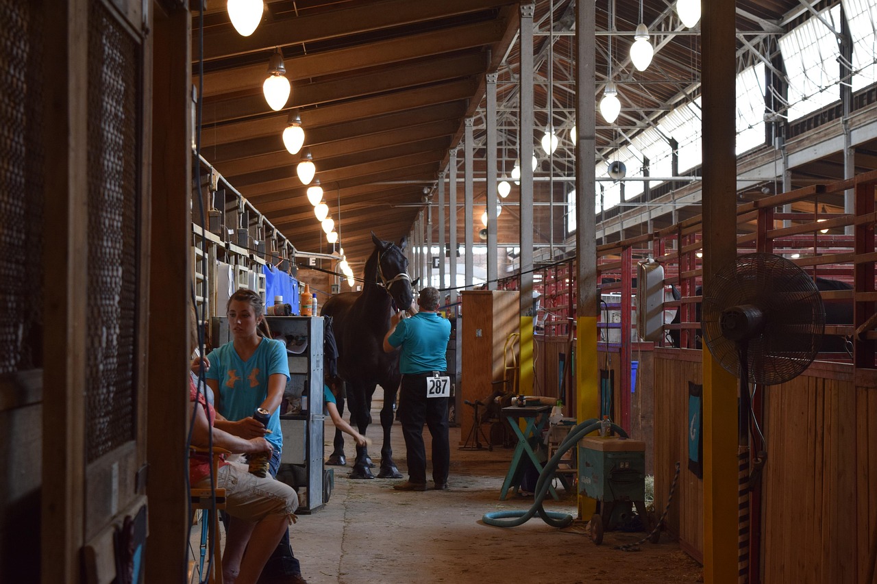 Iowa State Fair