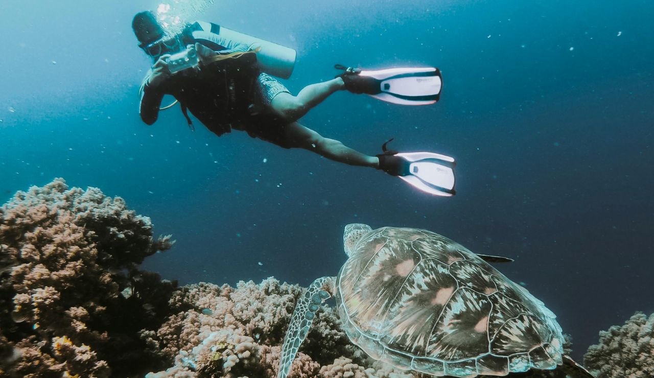 Scuba divers exploring coral reefs in Koh Tao