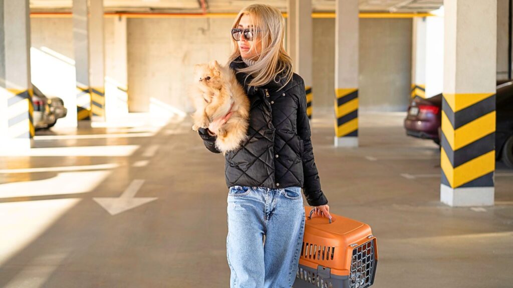 Preparing to travel with their pet at an airport parking.