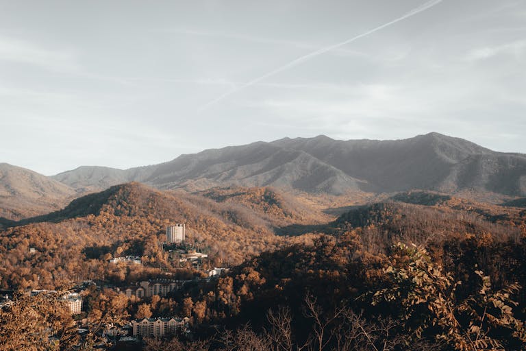 Breathtaking view of Gatlinburg's mountains in fall, showcasing vibrant foliage and serene scenery.