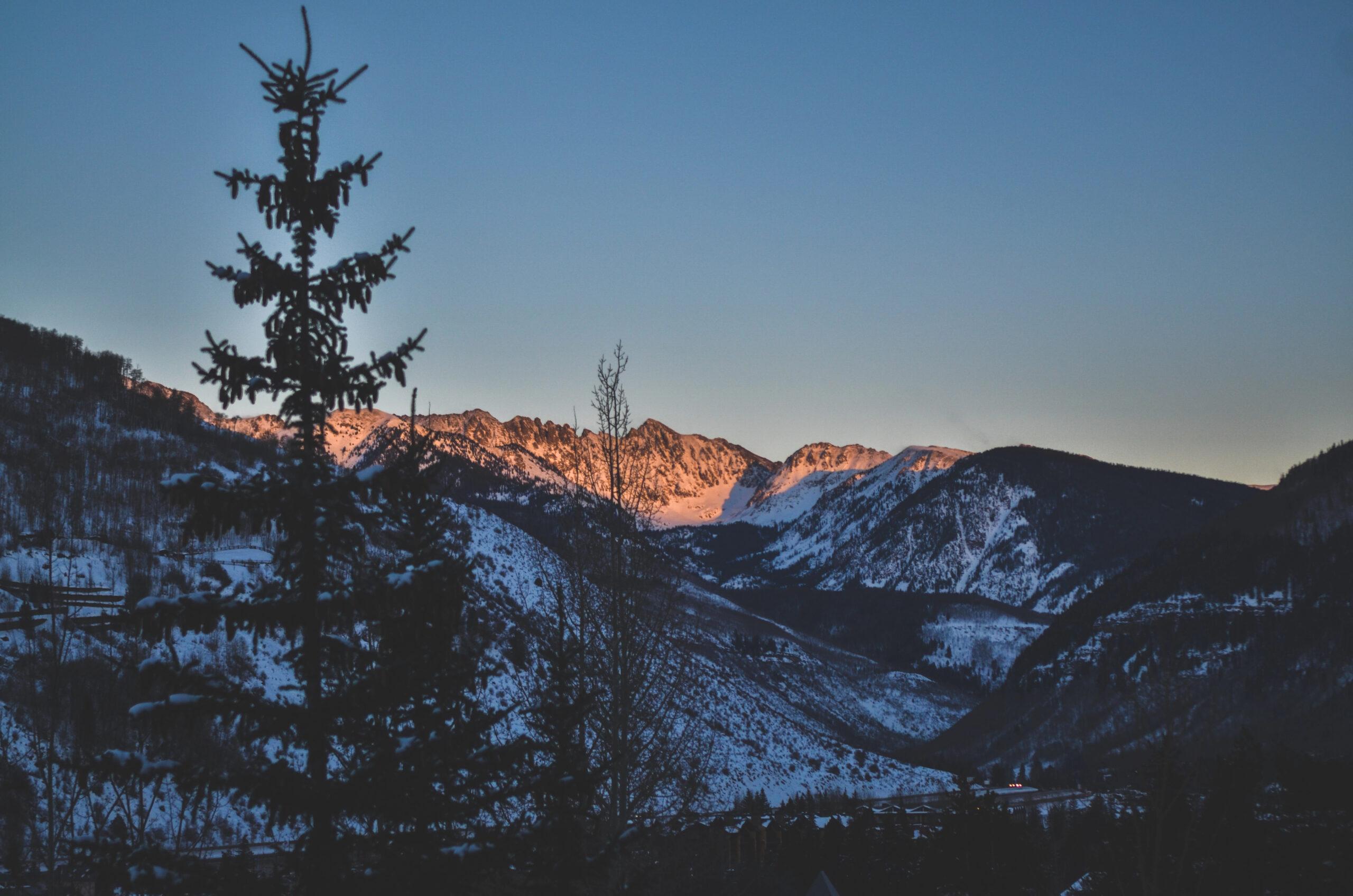Snowy mountain peaks glow orange at sunset behind a dark pine silhouette and clear sky in Vail.